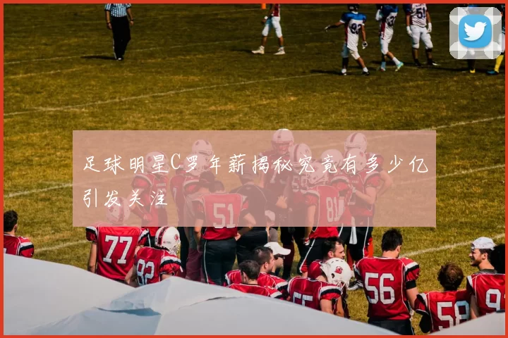 足球明星C罗年薪揭秘究竟有多少亿引发关注