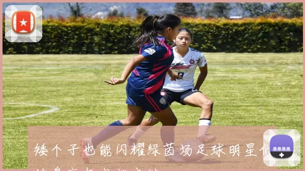 矮个子也能闪耀绿茵场足球明星们的身高与成就之谜