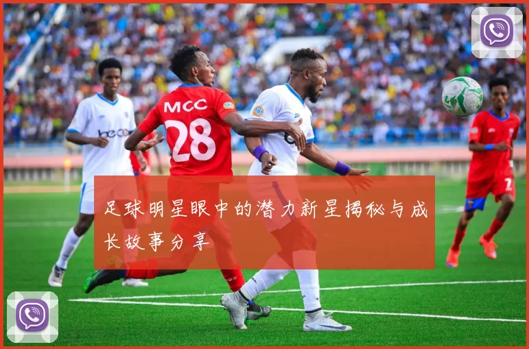 足球明星眼中的潜力新星揭秘与成长故事分享