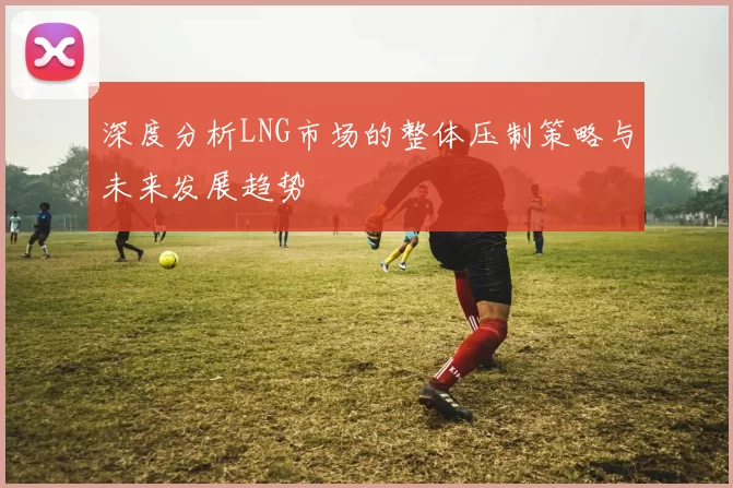 深度分析LNG市场的整体压制策略与未来发展趋势