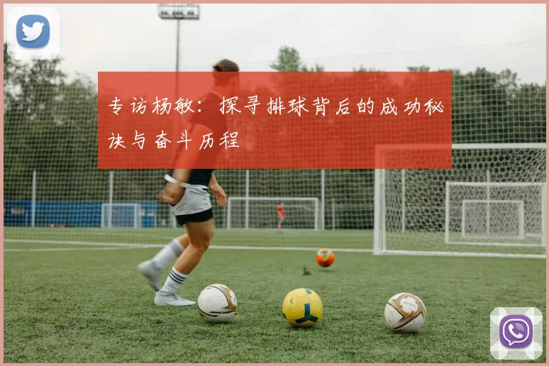 专访杨敏：探寻排球背后的成功秘诀与奋斗历程