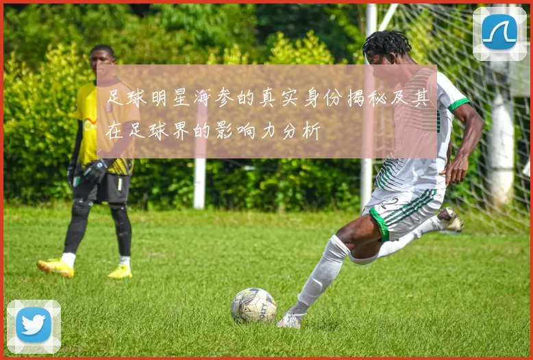 足球明星海参的真实身份揭秘及其在足球界的影响力分析