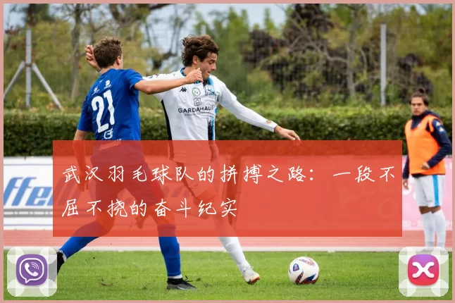 武汉羽毛球队的拼搏之路：一段不屈不挠的奋斗纪实