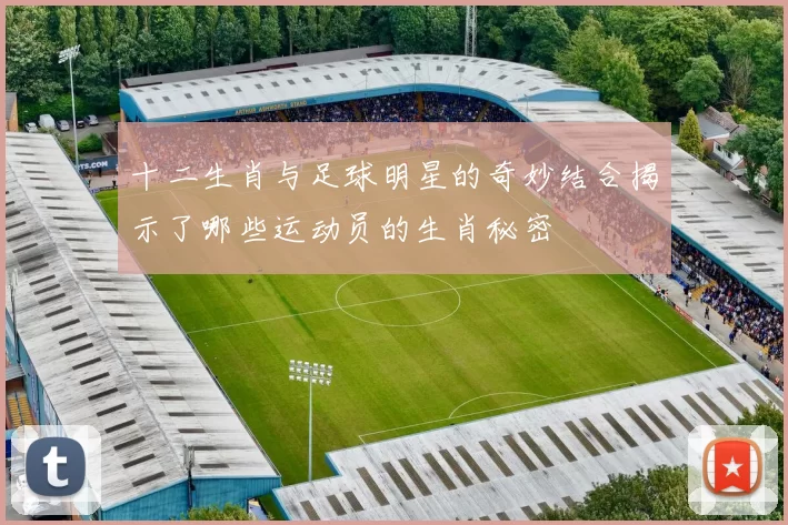 十二生肖与足球明星的奇妙结合揭示了哪些运动员的生肖秘密