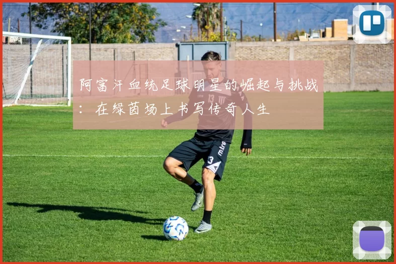 阿富汗血统足球明星的崛起与挑战：在绿茵场上书写传奇人生