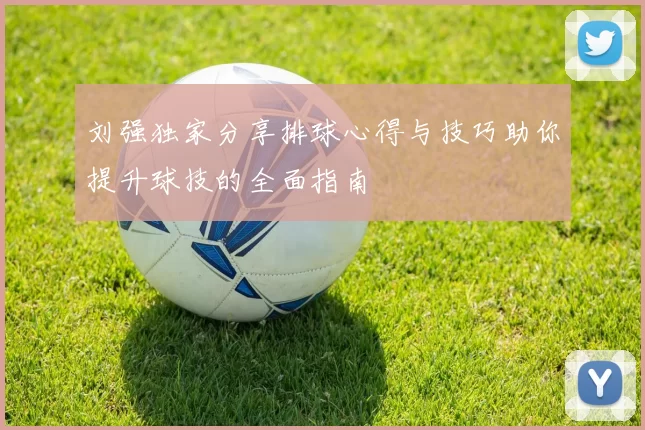 刘强独家分享排球心得与技巧助你提升球技的全面指南