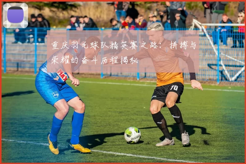 重庆羽毛球队精英赛之路：拼搏与荣耀的奋斗历程揭秘