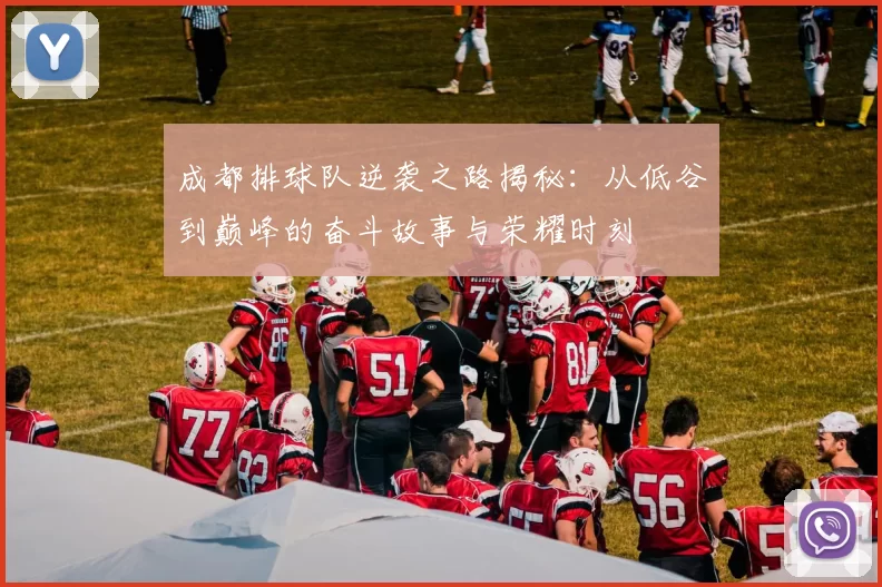 成都排球队逆袭之路揭秘：从低谷到巅峰的奋斗故事与荣耀时刻