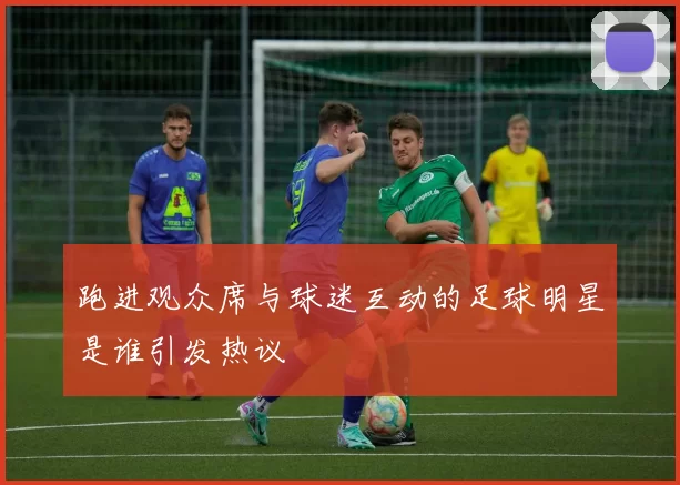 跑进观众席与球迷互动的足球明星是谁引发热议