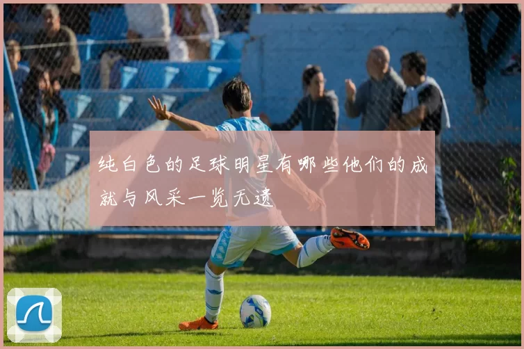 纯白色的足球明星有哪些他们的成就与风采一览无遗