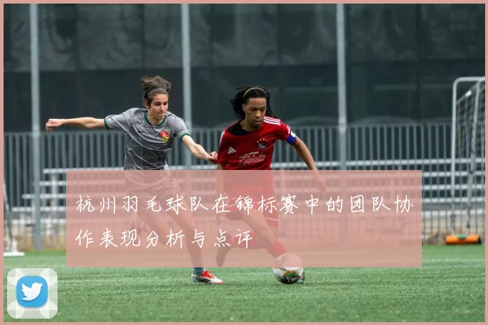 杭州羽毛球队在锦标赛中的团队协作表现分析与点评