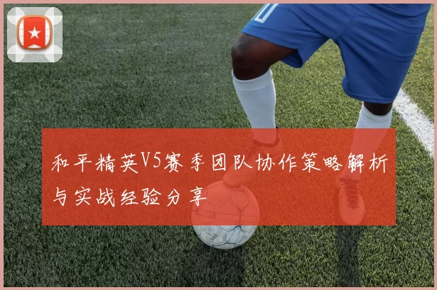 和平精英V5赛季团队协作策略解析与实战经验分享