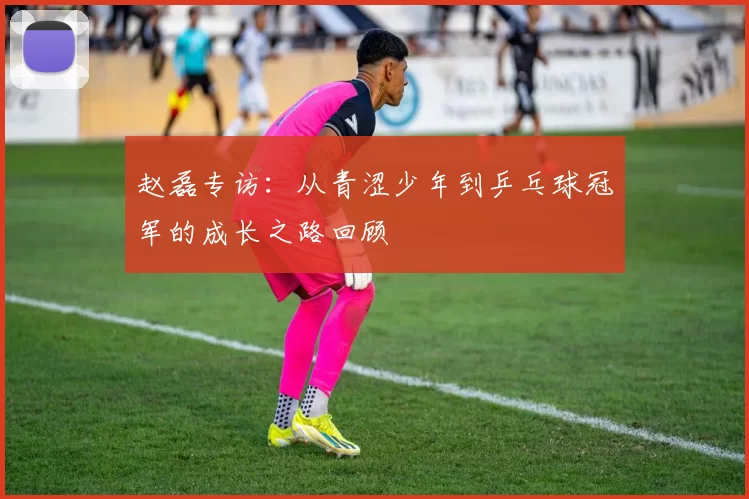 赵磊专访：从青涩少年到乒乓球冠军的成长之路回顾