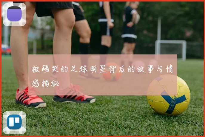 被踢哭的足球明星背后的故事与情感揭秘