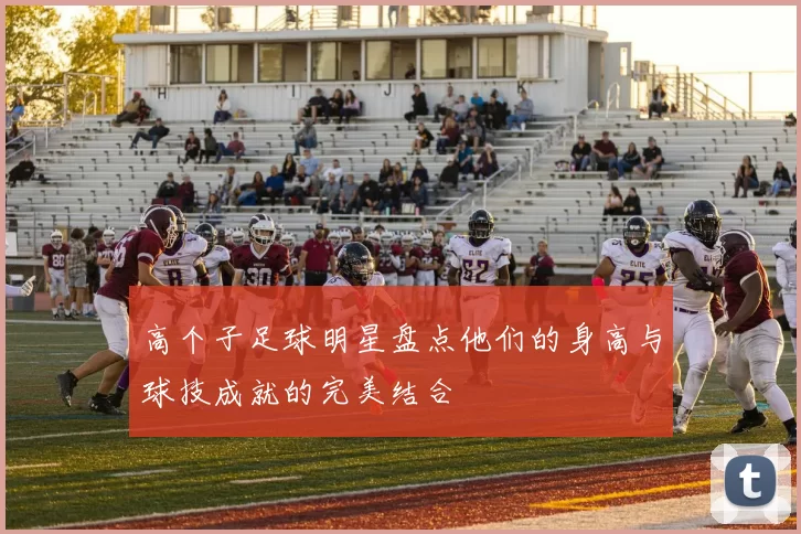 高个子足球明星盘点他们的身高与球技成就的完美结合