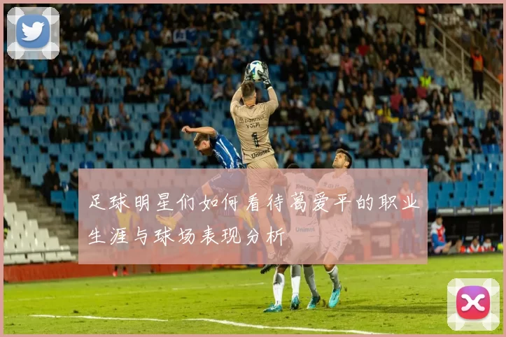 足球明星们如何看待葛爱平的职业生涯与球场表现分析