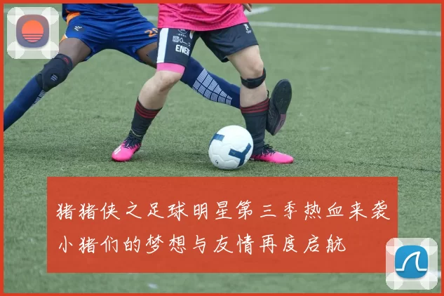 猪猪侠之足球明星第三季热血来袭小猪们的梦想与友情再度启航