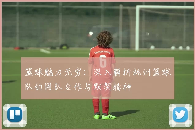 篮球魅力无穷：深入解析杭州篮球队的团队合作与默契精神