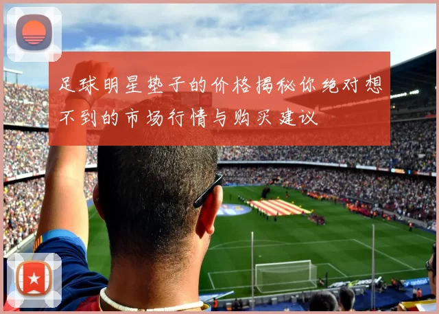 足球明星垫子的价格揭秘你绝对想不到的市场行情与购买建议