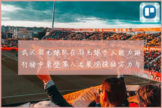 武汉羽毛球队在羽毛球个人能力排行榜中荣登第八名展现强劲实力与潜力