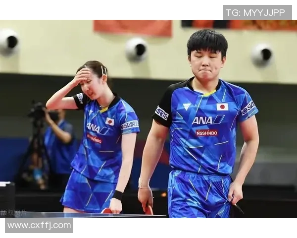 杭州乒乓球队实力分析及其在国内外比赛中的表现评估 杭州乒乓球队实力分析及其在国内外比赛中的表现评估